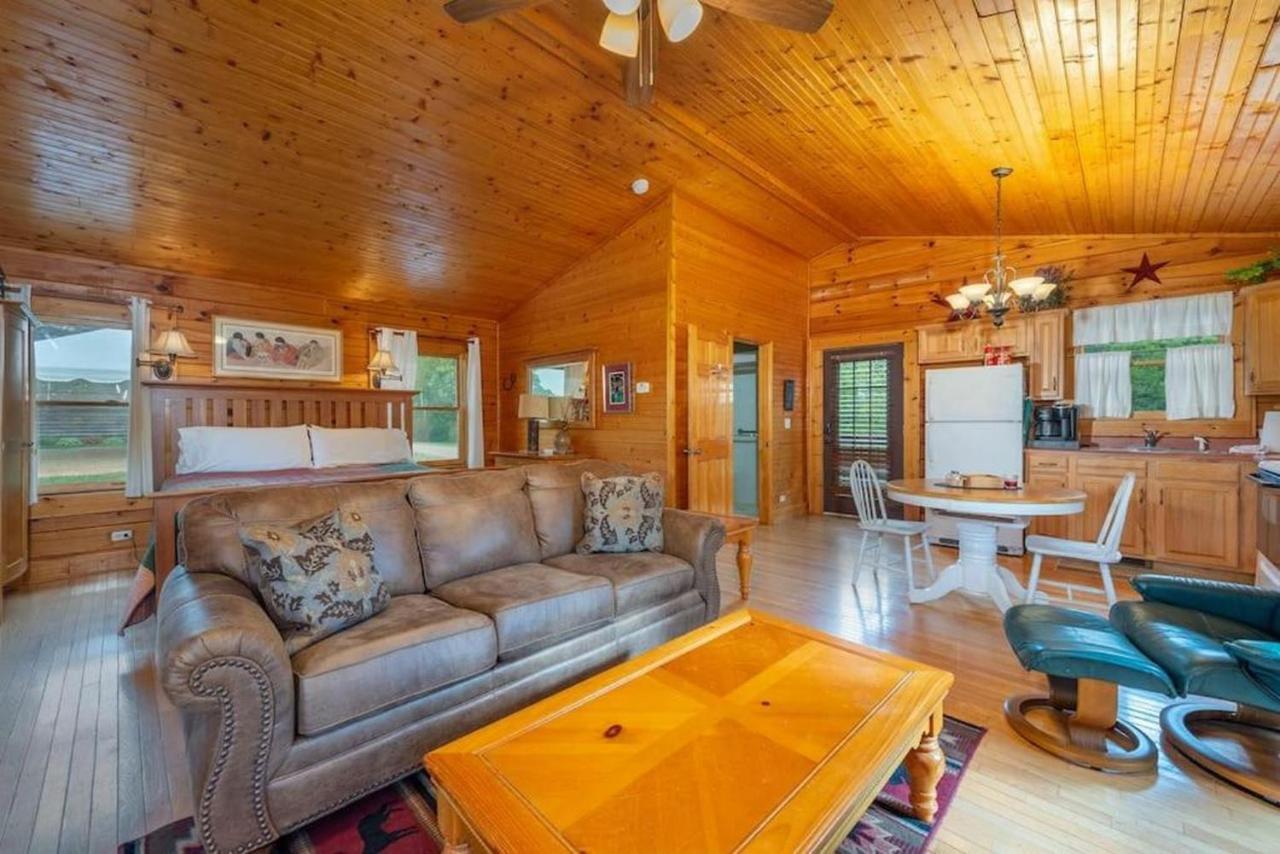 Log Cabin Stunning Mountain Views On 12 Acres Candler المظهر الخارجي الصورة